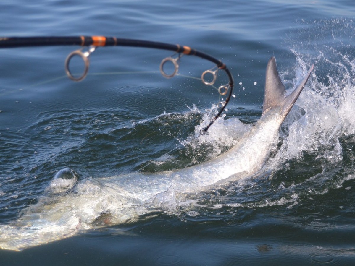 a man riding a wave on a surfboard in the water