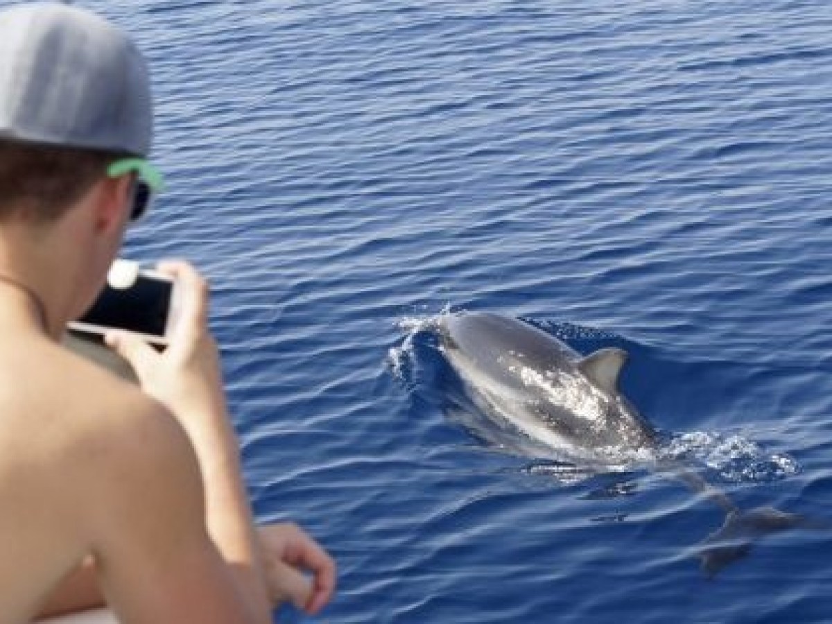 a person swimming in the water